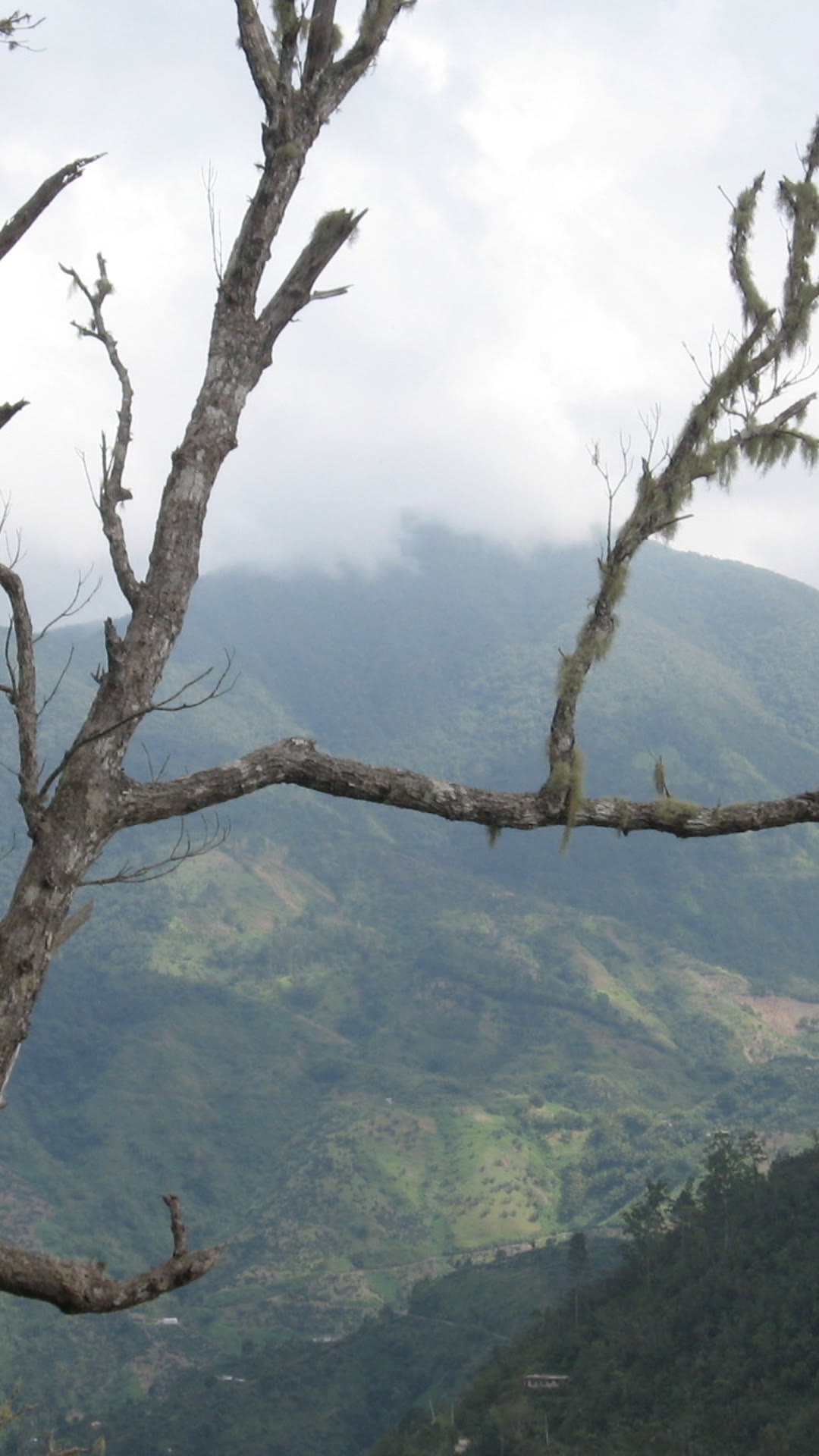 Blue Mountains, Jamaica