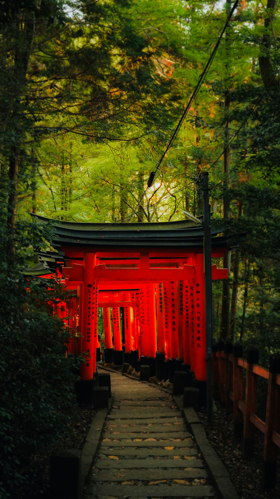 Fushimi Inari Torii Gates Kyoto